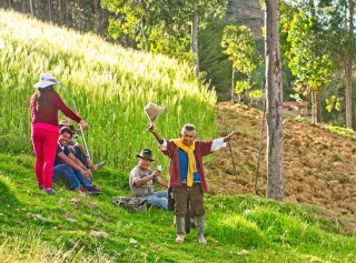 PERU_ALL24