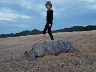 MEXICO03