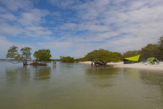 EVERGLADES6
