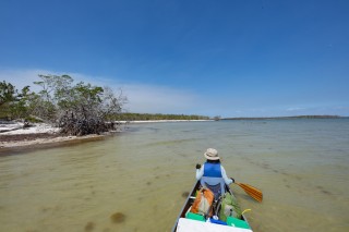 EVERGLADES4